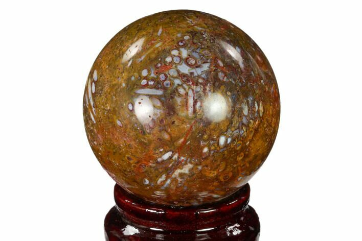 Colorful, Polished Petrified Palm Root Sphere - Indonesia #150131